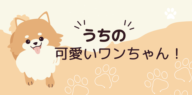 可愛いワンちゃんが沢山！